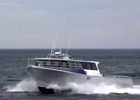 Barcos de trabalho à venda