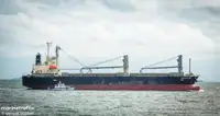 Navio graneleiro à venda