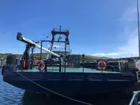 Navio frigorífico à venda
