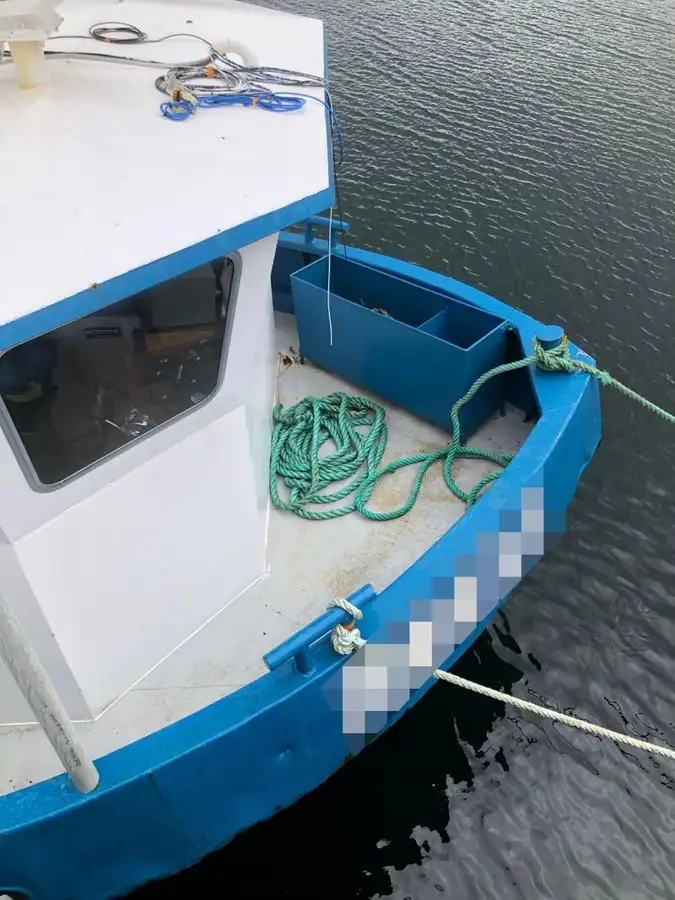 Barcos de trabalho à venda