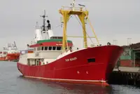 Barcos de trabalho à venda