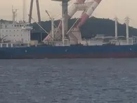 Navio frigorífico à venda