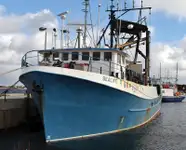 Navio de pesca de cerco à venda