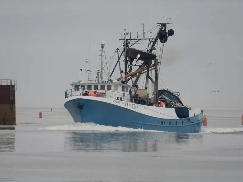 Navio de pesca de cerco à venda