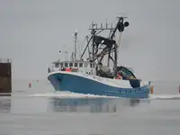 Navio de pesca de cerco à venda