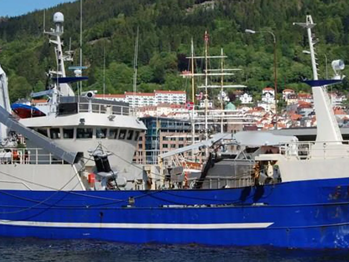Navio de pesca de cerco à venda