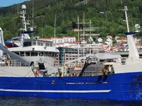 Navio de pesca de cerco à venda