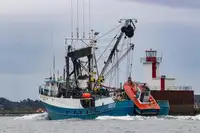Navio de pesca de cerco à venda