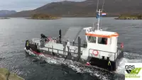 Barcos de trabalho à venda