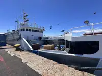 Navio de pesca de arrasto à venda