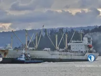 Navio frigorífico à venda