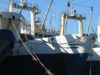 Navio de pesca de arrasto à venda