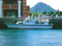 Navio de passageiros à venda