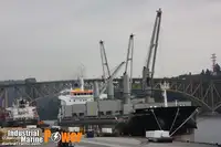 Navio graneleiro à venda