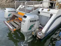 Catamarã à venda