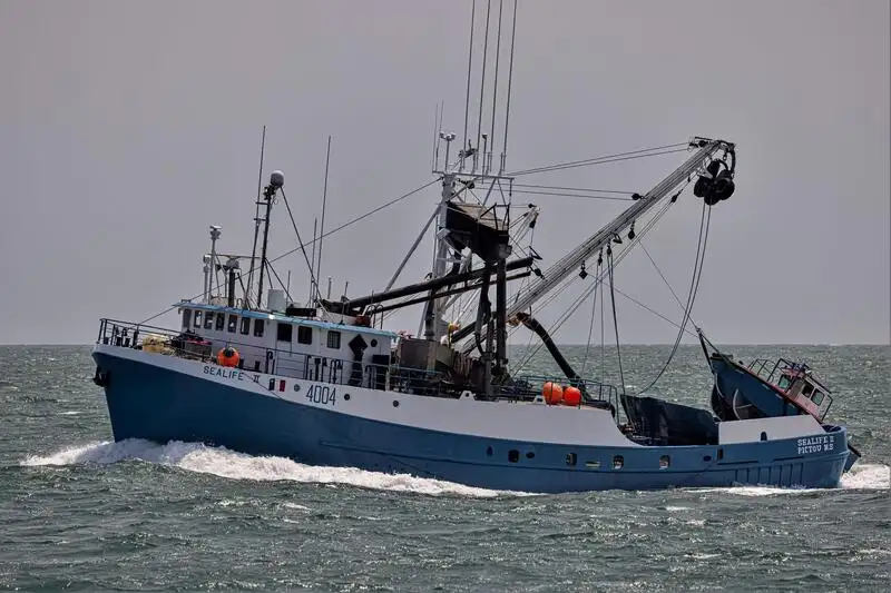 Navio de pesca de cerco à venda