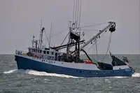 Navio de pesca de cerco à venda