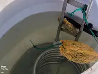 Navio de processamento de peixe à venda