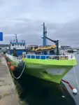 Barcos de trabalho à venda