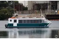 Catamarã à venda