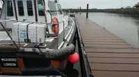 Barco piloto à venda
