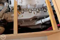 Navio de processamento de peixe à venda