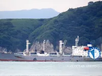 Navio frigorífico à venda