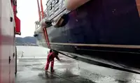 Barcos de trabalho à venda