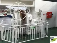 Navio Ro-Ro à venda