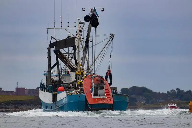 Navio de pesca de cerco à venda