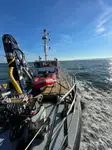 Barcos de trabalho à venda