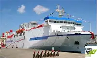 Ro-Ro ship à venda