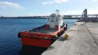 Barcos de trabalho à venda