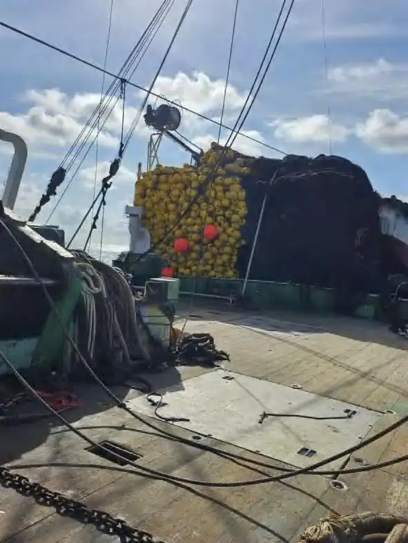 Navio de pesca de cerco à venda