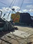 Navio de pesca de cerco à venda