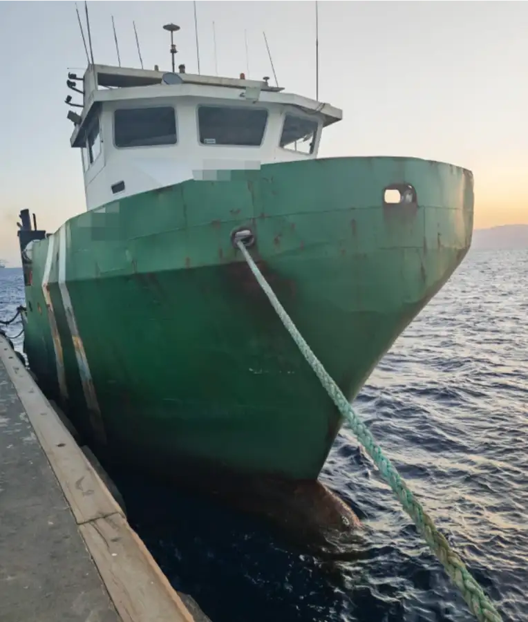 Barcos de trabalho à venda