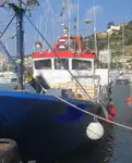 Navio de pesca de arrasto à venda