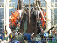 Navio de pesca de arrasto à venda