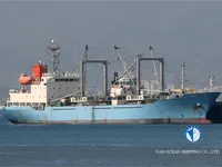Navio frigorífico à venda