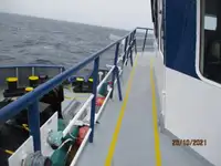 Navio frigorífico à venda