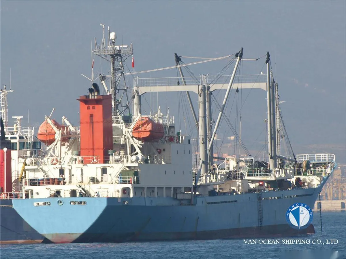 Navio frigorífico à venda