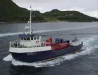 Barcos de trabalho à venda