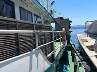 Navio de pesca de cerco à venda