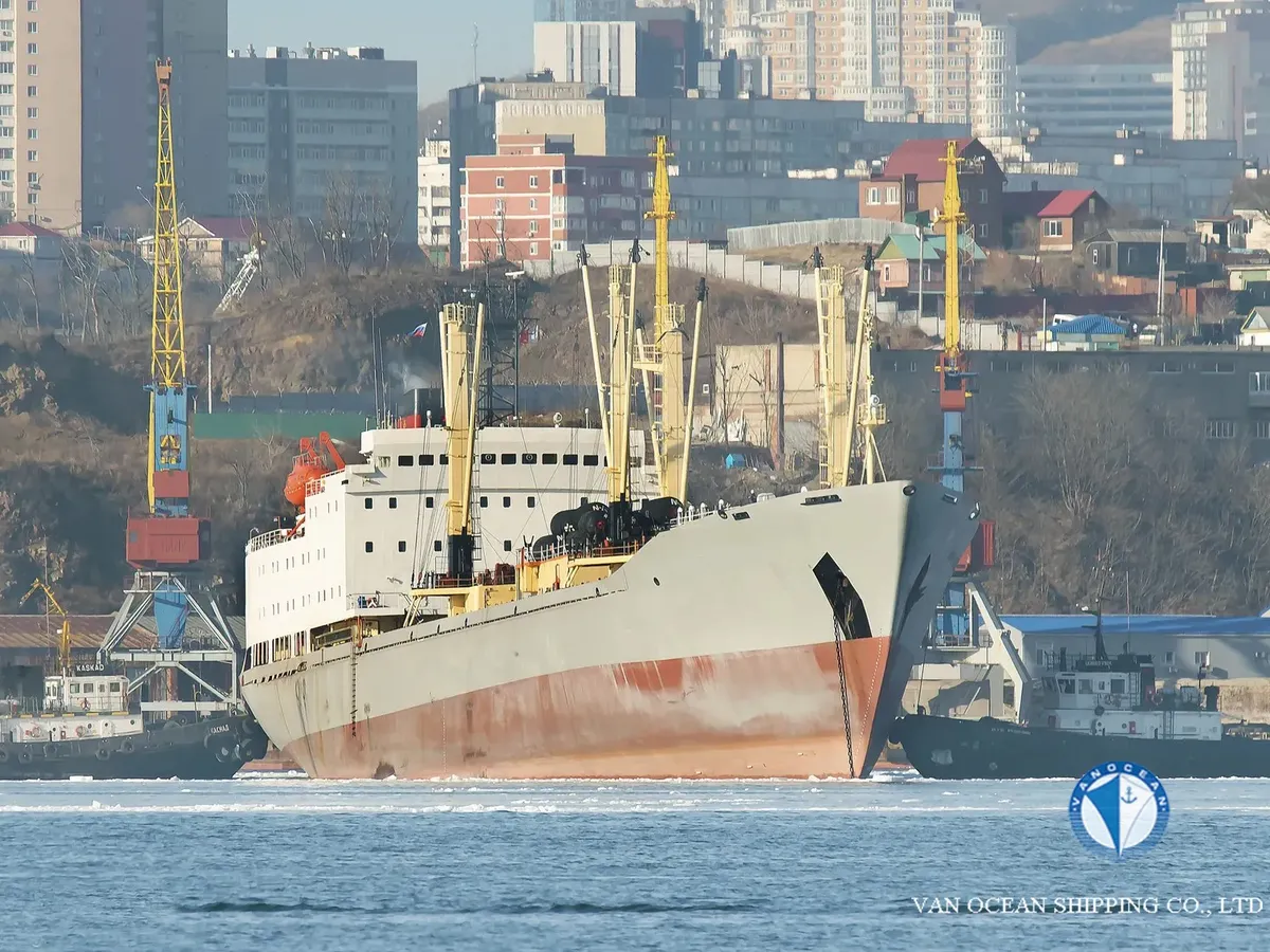 Navio frigorífico à venda