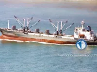 Navio frigorífico à venda