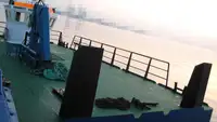 Barcos de trabalho à venda