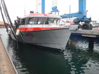 Barcos de trabalho à venda