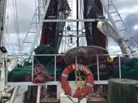 Navio de pesca de arrasto à venda