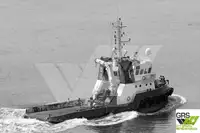 Barcos de trabalho à venda
