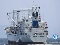 Navio frigorífico à venda